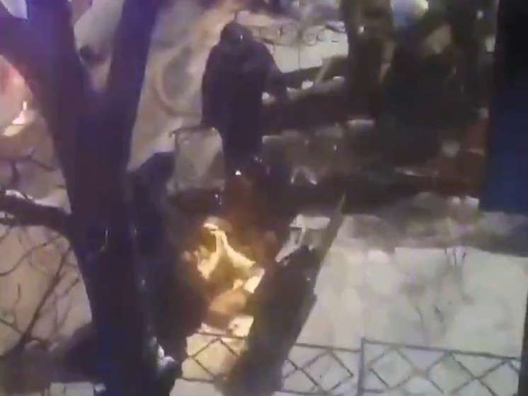 В Петропавловске-Камчатском спасатели реанимировали собаку, задохнувшуюся в пожаре: видео