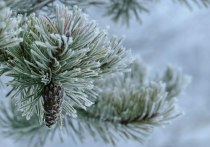 Сегодня, 6 декабря, по Республике Бурятия ожидается переменная облачность, по Прибайкалью - снег, по остальной территории - преимущественно без осадков