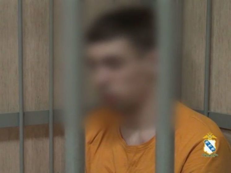 В Курске 18-летний белгородец семь раз исполнил роль курьера мошенников