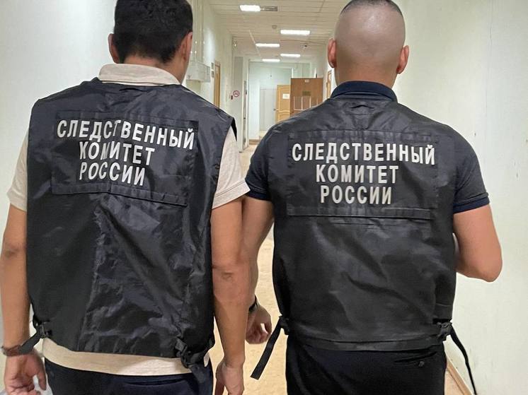 В Якутии насильника приговорили к 18 годам колонии