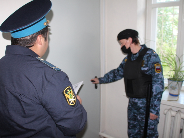 В Перми судебные приставы помогли матери вернуть детей
