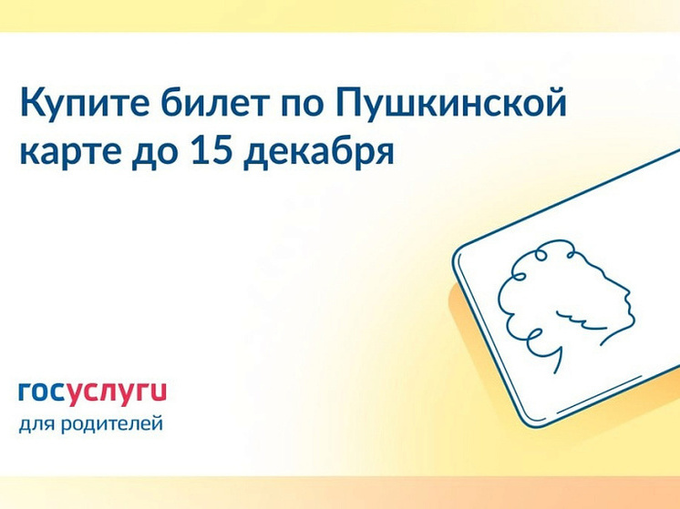 В Курске предупредили об окончании действия Пушкинской карты 15 декабря