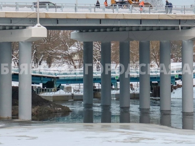 Понтонный мост с набережной в Брянске могут переместить на Флотскую