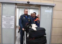 Двоим россиянам выдали разрешение на выезд из сектора Газа
