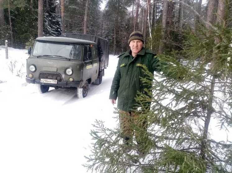 В регионе усиливают охрану лесных участков перед Новым годом