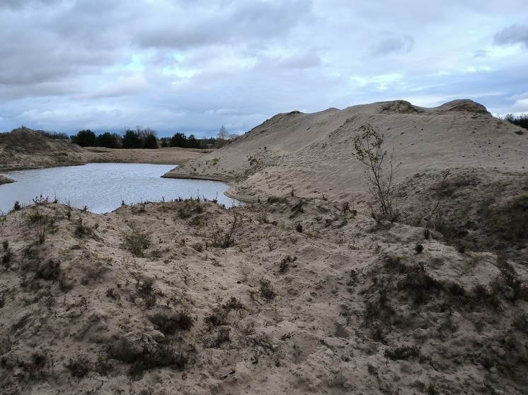 Из-за незаконной добычи песка в Воронежской области может обмелеть река Икорец