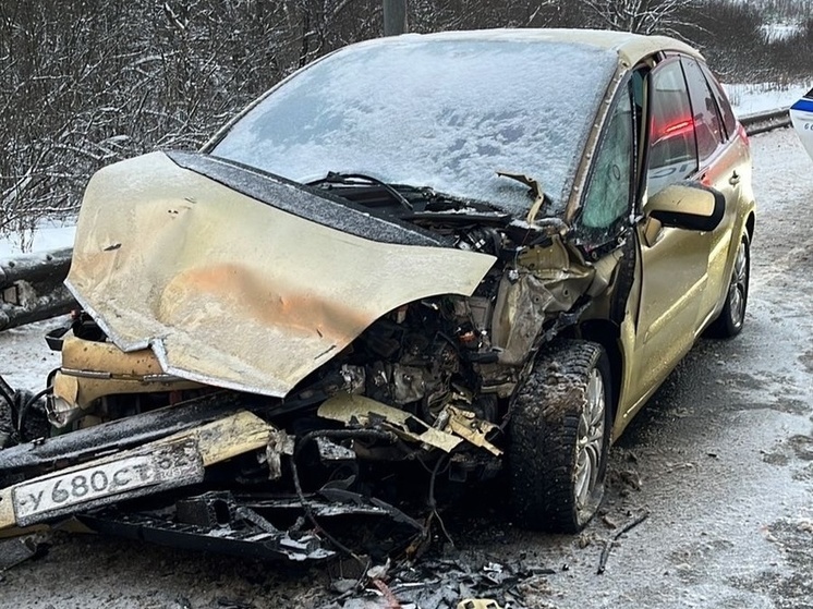 Жительница Рязани попала в серьёзное ДТП в Московской области