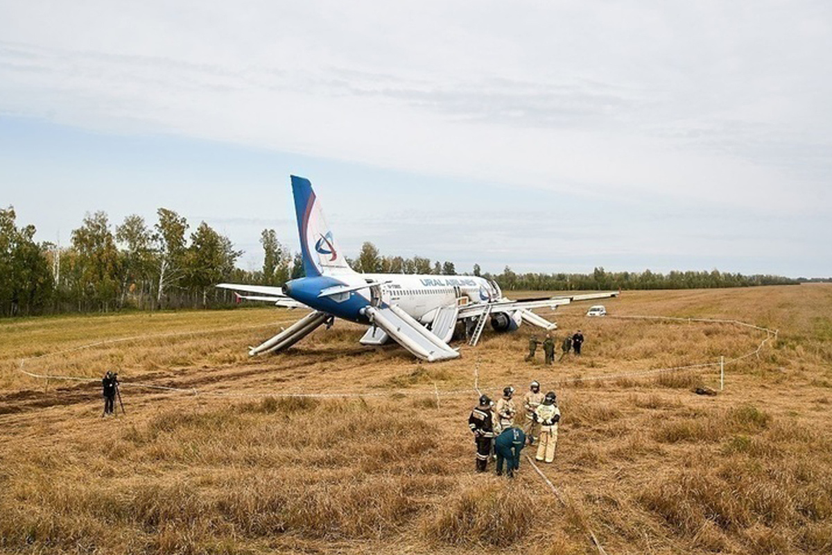 The pilots who landed the plane in a field near Novosibirsk were asked to resign.