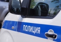 На официальном сайте УМВД России по Омской области размещен список опасных преступников, которые могут находиться на территории региона