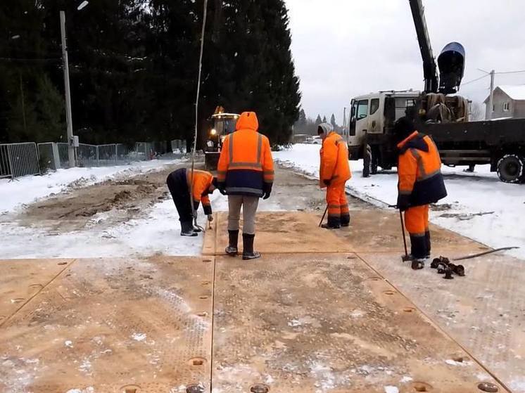 В Подмосковье подготовили проезд к месту вырубки главной ели страны