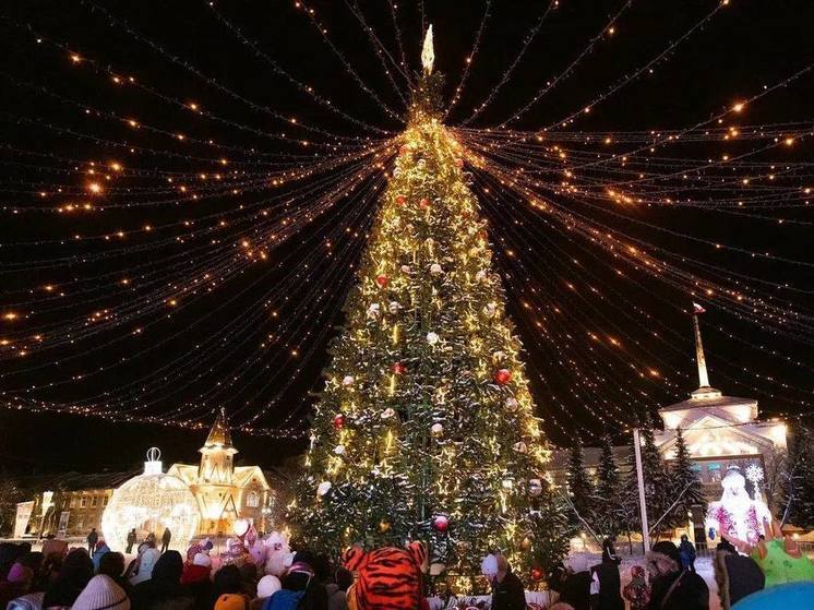 В НАО открыли новогоднюю ёлку