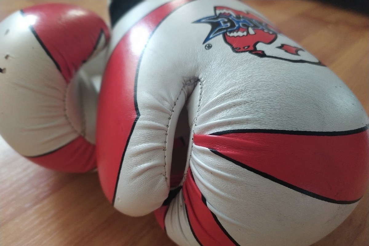 Vologda boxers brought medals from international competitions