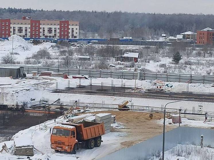 Международная школа искусств появится в Новоселье в 2025 году