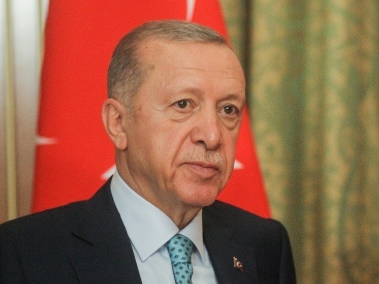 Эрдоган отказался обсуждать срок одобрения Турцией членства Швеции в НАТО
