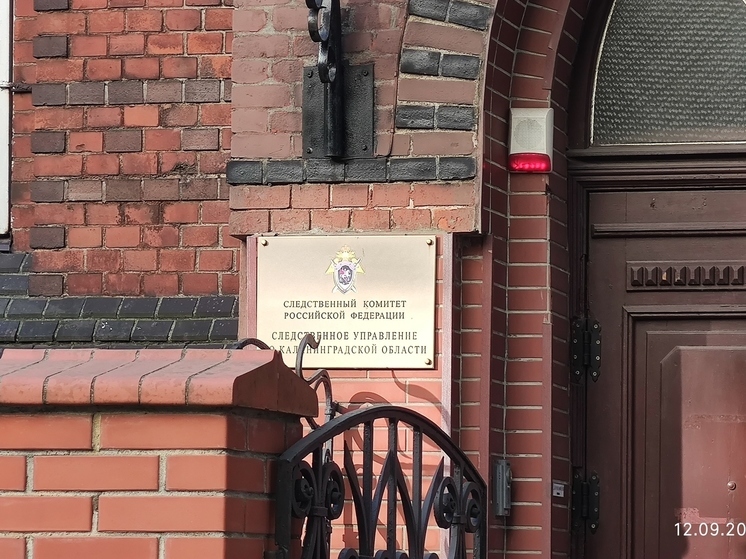 Забивший молотком собутыльника житель Черняховска предстанет перед судом