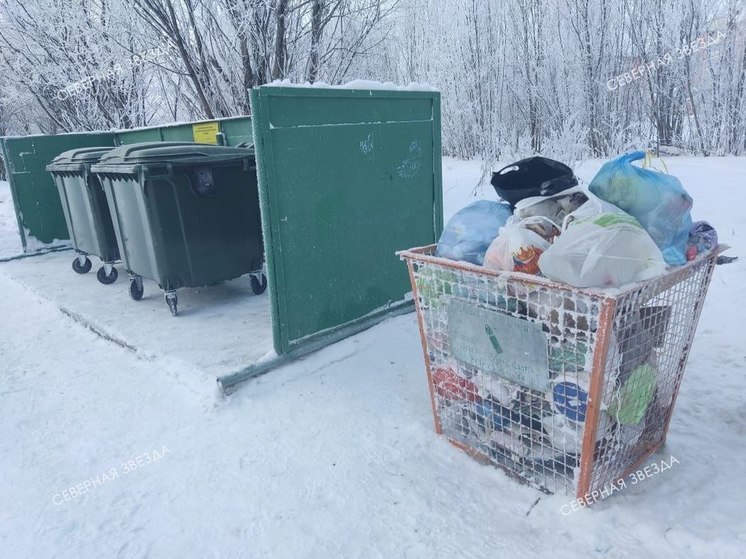 Из-за морозов в Стрежевом на линию не вышли четыре мусоровоза