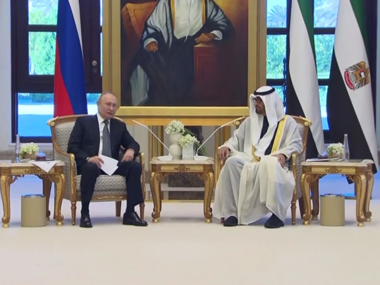 Путин пригласил президента ОАЭ в Казань на саммит БРИКС