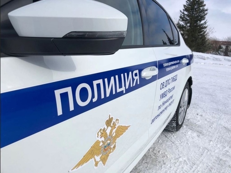 В НАО задержали 4 водителя без прав