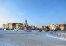 В Екатеринбурге планируют сделать цветную подсветку моста, который расположен в Преображенском парке Академического района