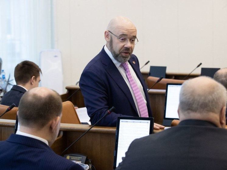 Красноярский депутат Терехов поддержал идею налога на бездетность