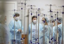 В России Роспотребнадзор зафиксировал случаи пневмонии, вызванной нетипичной бактерией Mycoplasma pneumoniae