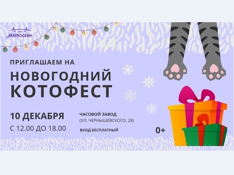 В воскресенье в Перми состоится зимний Котофест