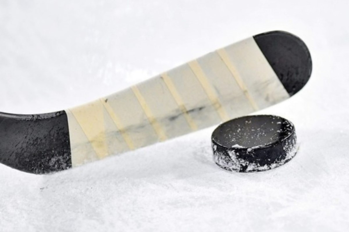 Hockey agent Milstein explained the refusal of the NHL and UFC to suspend Russians