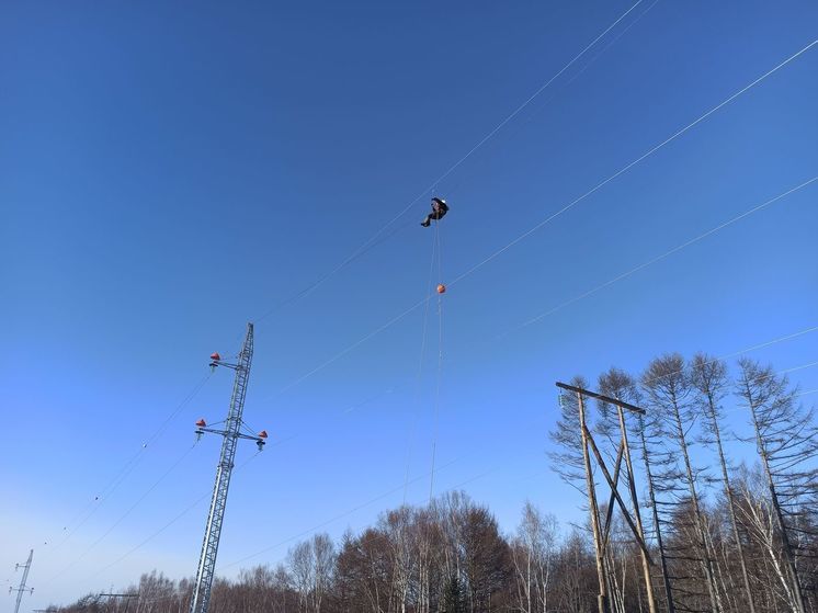 Маркерные шары для защиты птиц установили на новой ЛЭП в Углегорском районе