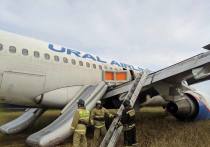 Самолет "Уральских авиалиний", совершивший экстренную посадку на пшеничном поле под Новосибирском, разберут на запчасти