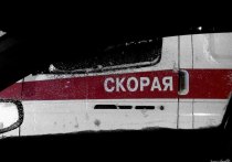 В результате столкновения двух большегрузов и микроавтобуса Mercedes в Краснодарском крае погибли пять человек, включая водителя иномарки и четырех пассажиров