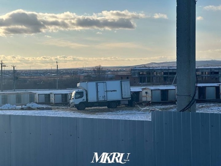 Волонтёр заявила о зверских условиях содержания в приюте «Пять звезд» в Чите
