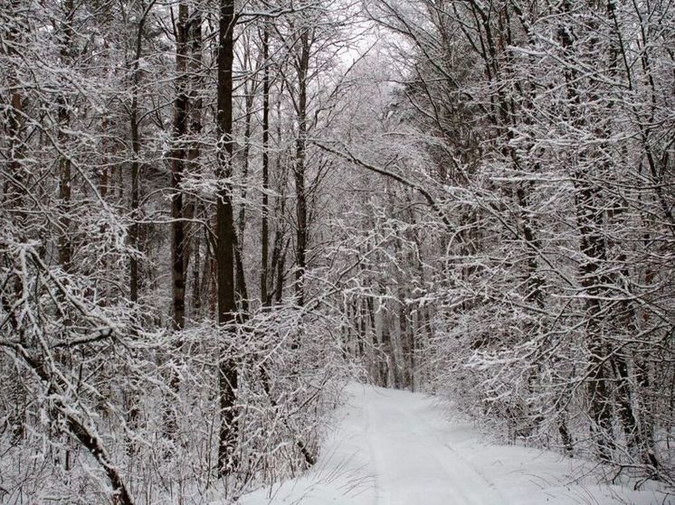 В подмосковных Луховицах температура опустилась почти до -20