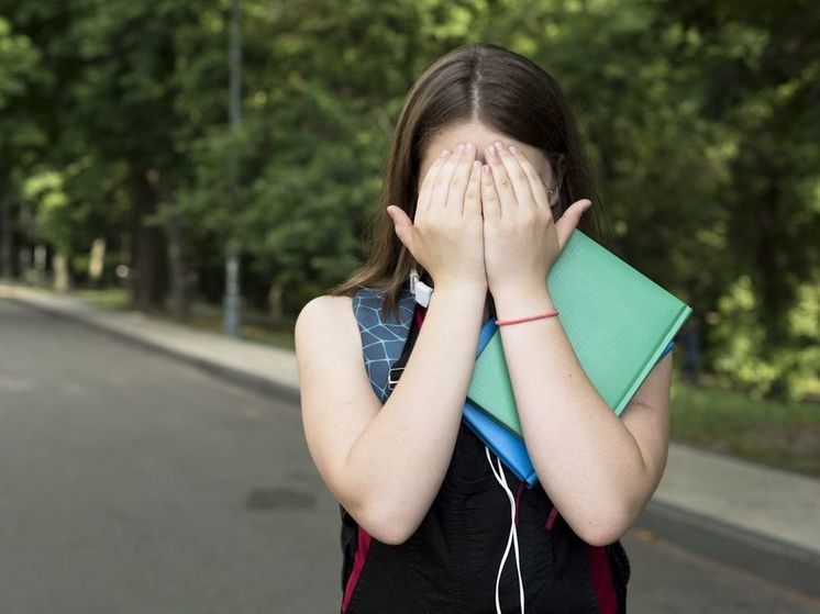 Устроившая стрельбу в брянской школе восьмиклассница могла подвергаться травле