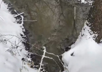 Фекальные воды заливают реку Лопасню в Чеховском районе