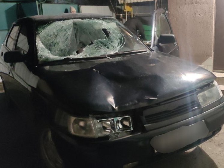 Полицейские в Мелитополе за несколько часов нашли виновника смертельного ДТП
