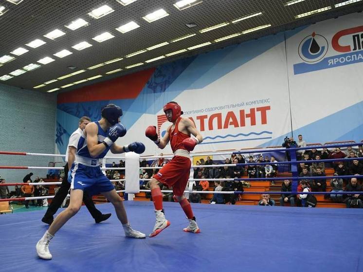 В Ярославле подвели итоги регионального турнира по боксу