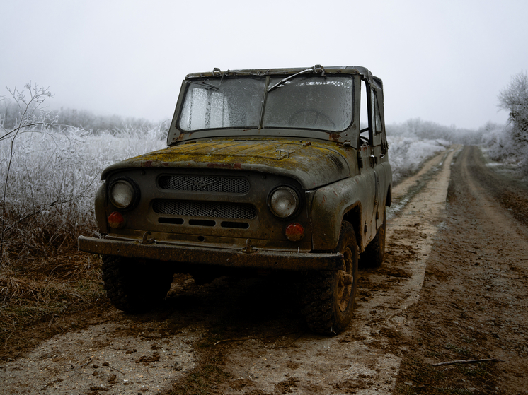 Новосибирская область отправит конфискованные автомобили в зону СВО