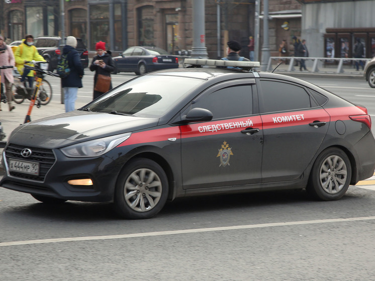 СК возбудил уголовное дело из-за стрельбы в школе Брянска