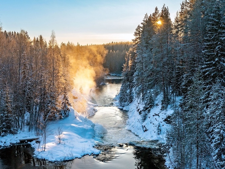 Минприроды Карелии запустило конкурс на лучшее фото зимнего леса