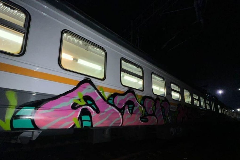 В Подмосковье граффисты разрисовали три вагона на станции Есино