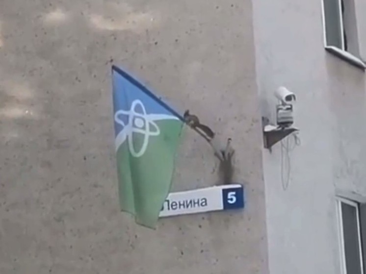 Белка попыталась снять флаг со здания администрации в Протвино