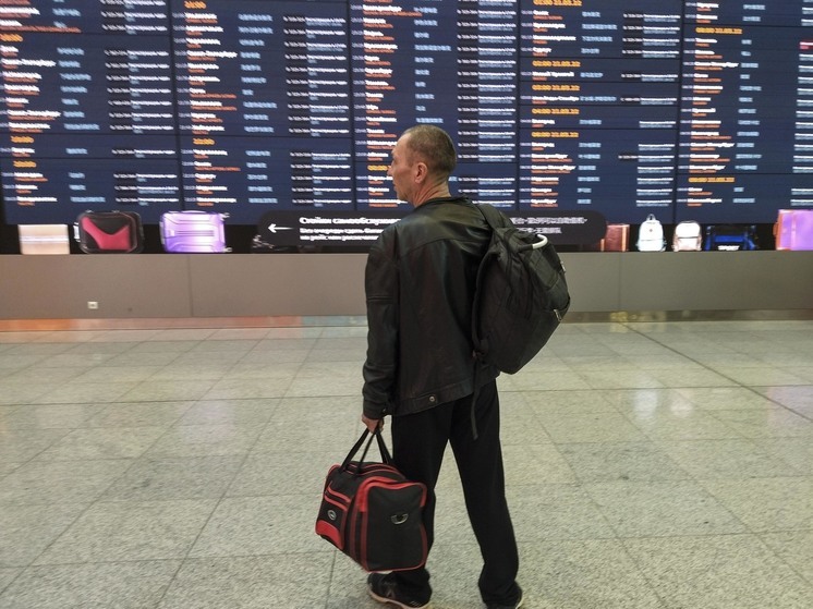 Жителям Подмосковья объяснили как снять запрет на выезд из страны