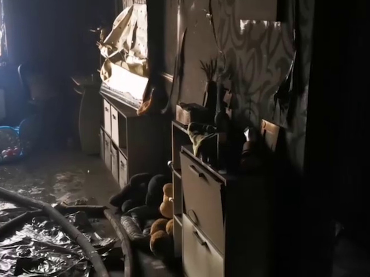 В Красноярске собака погибла в пожаре из-за оставленной на плите кастрюли