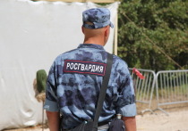 На полигоне Дубровичи в Рязанской области произошло самопроизвольное срабатывание взрывного устройства во время занятий по огневой подготовке