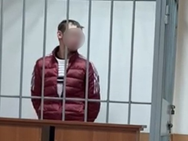 Заключен под стражу свердловчанин, обвиняемый в убийстве двухлетней девочки