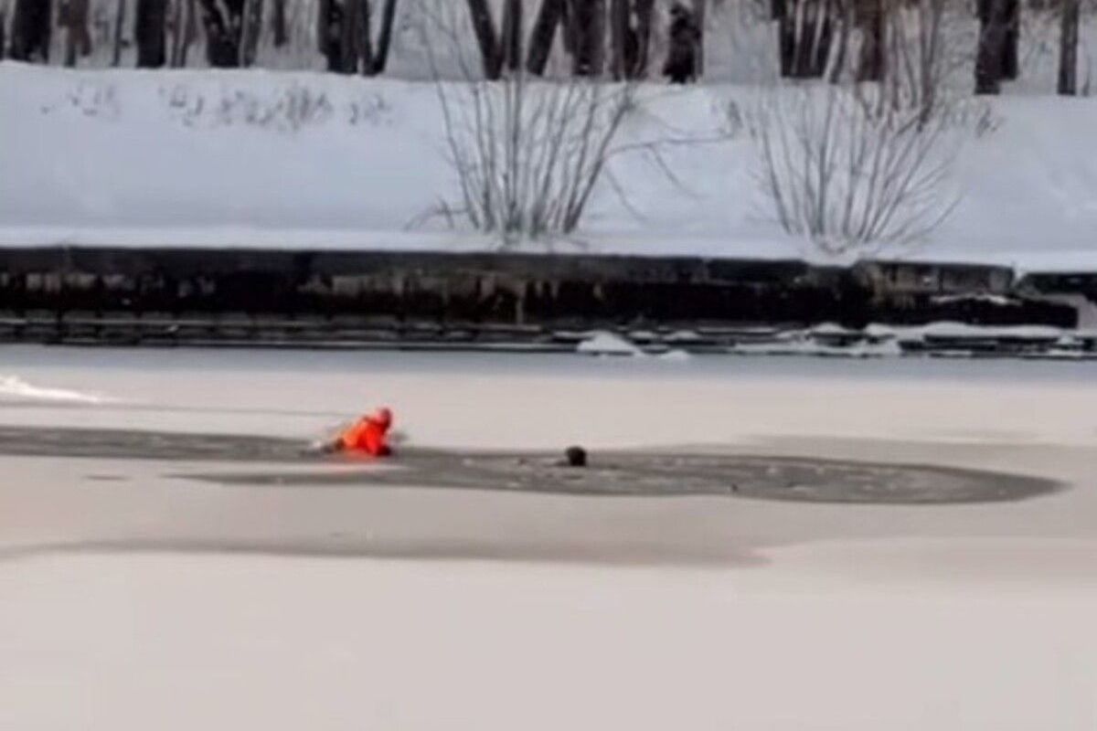 В подмосковных Химках спасатели сегодня вытащили из воды лыжника
