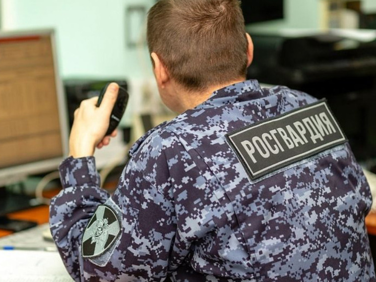 Мурманчанин украл 22 плитки шоколада и был задержан