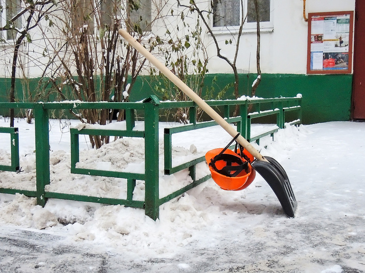 Россиянин избил снеговой лопатой 71-летнюю пенсионерку