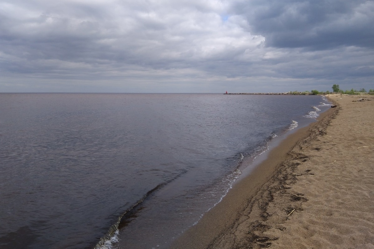 Около 450 субботников прошло на водных объектах Вологодской области