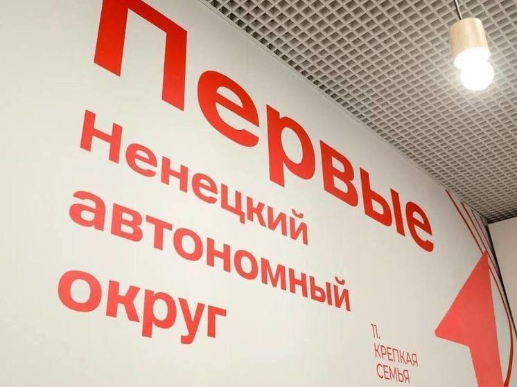В НАО создали более 20 отделений «Движения Первых»